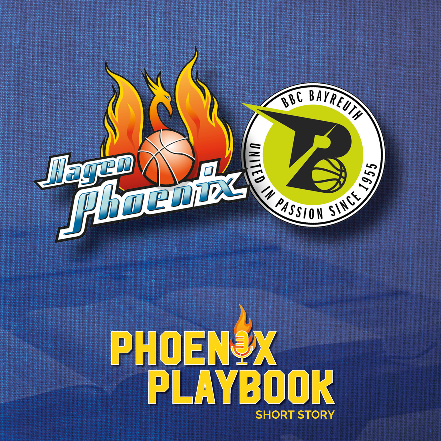 Zwei Basketball Logos auf blauem Stoffhintergrund, gelbe und orange Flammen betonen das Design
