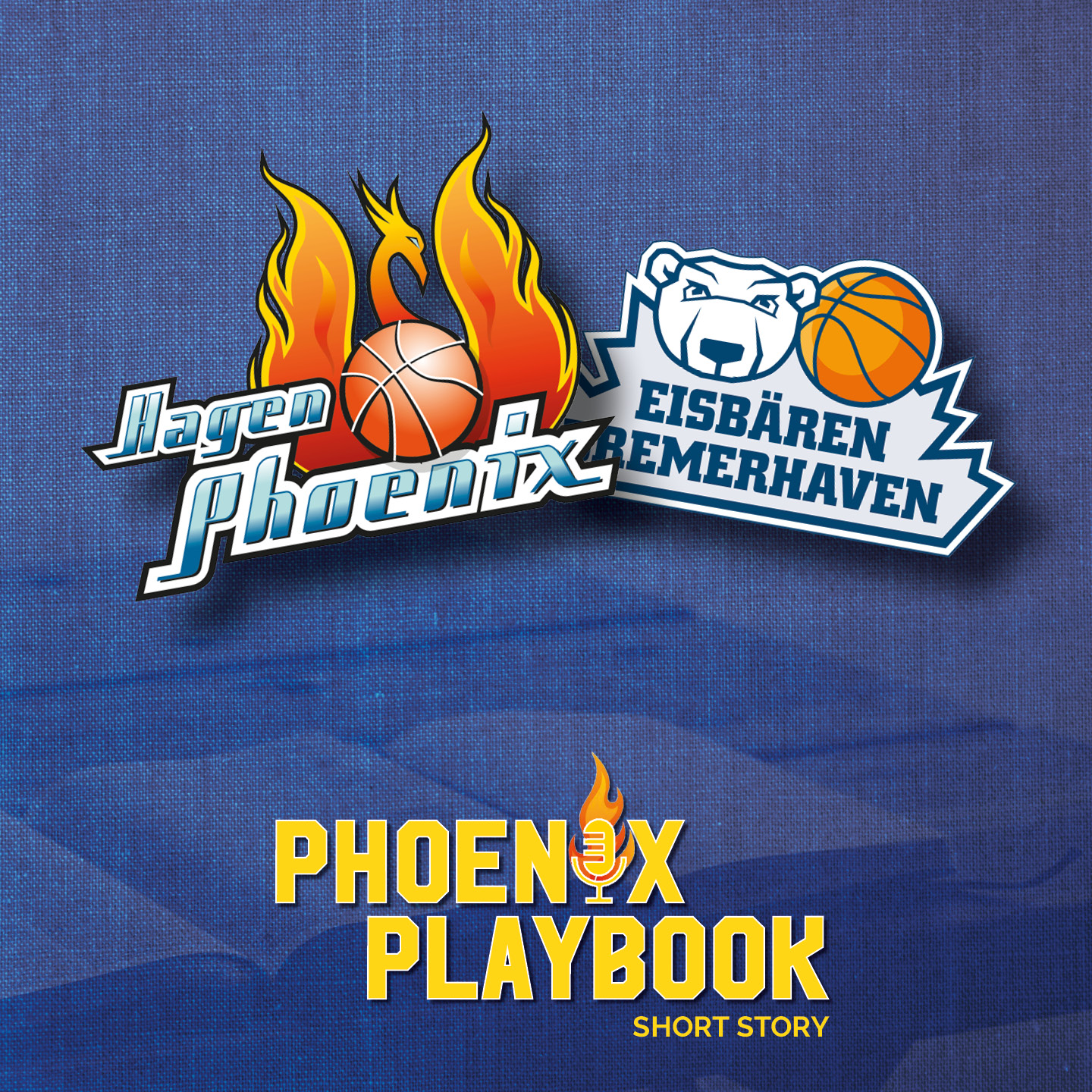 Zwei Basketballlogos mit Flammen und Bär sowie orangen Bällen auf blauem Stoffhintergrund