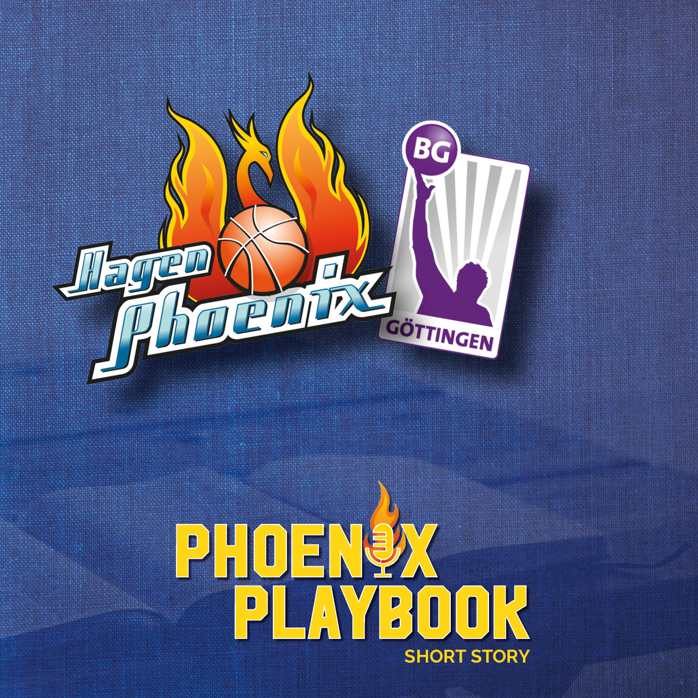 Das Bild zeigt zwei bunte Basketballlogos auf blauem Stoff und gelbe Schrift darunter