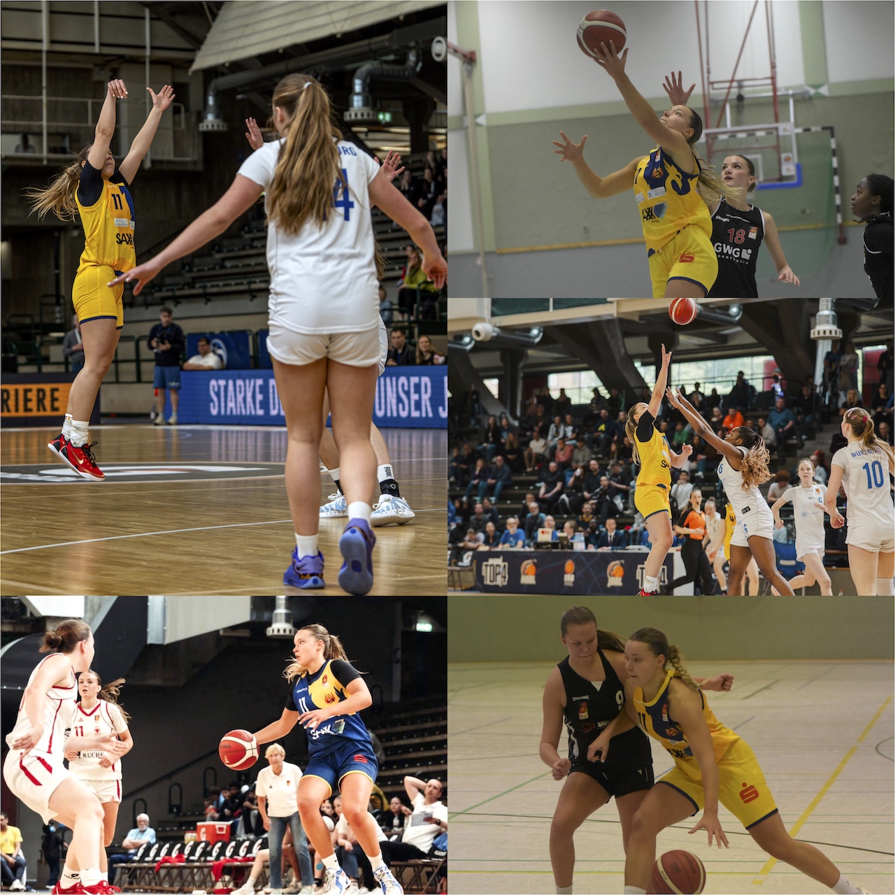 Basketballspielerinnen in gelben und weissen Trikots kaempfen konzentriert um den Ball